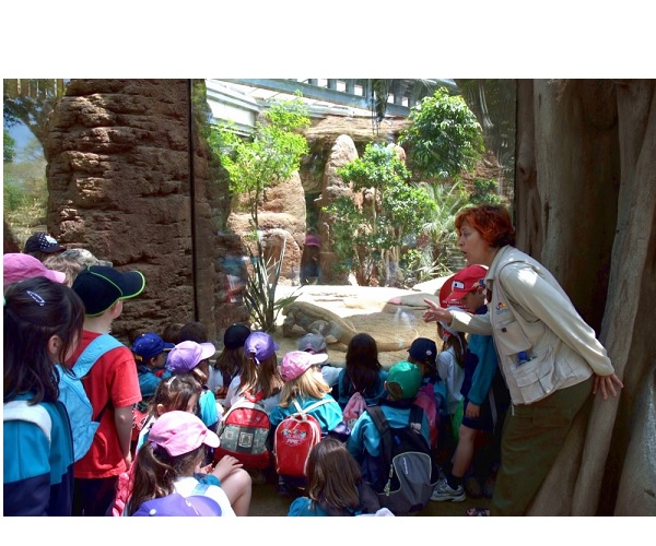 actividades para niños en agosto