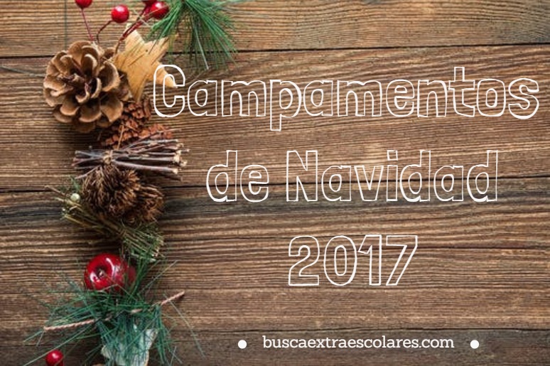 Campamentos de Navidad 2017-2018