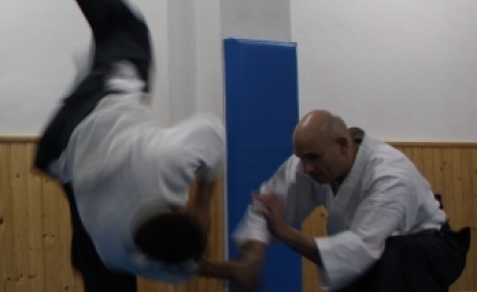 Academia de karate y aikido