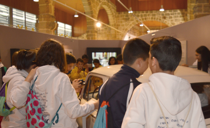 Programas para escuelas y colegios