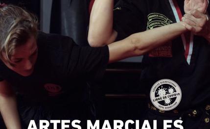 Escuela de artes marciales