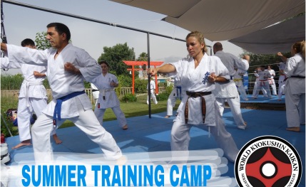 Escuela de artes marciales