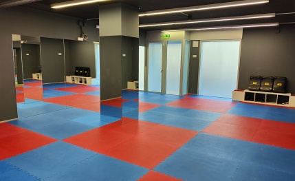 Escuela de artes marciales