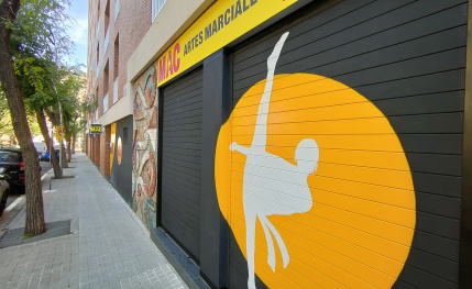 Escuela de artes marciales