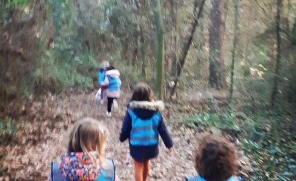 Inglés, STEM, Música, Naturaleza