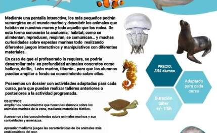 Talleres experimentales