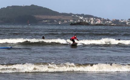 Escuela de surf 
