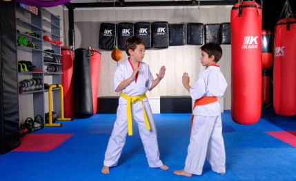 Escuela de artes marciales