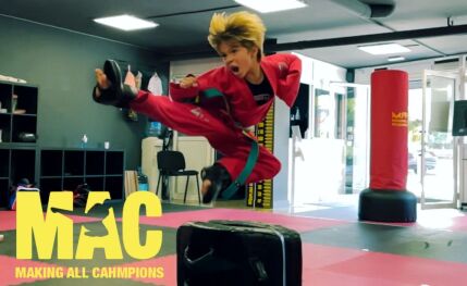 Escuela de artes marciales