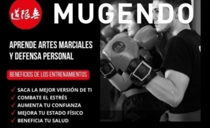 Academia de artes marciales