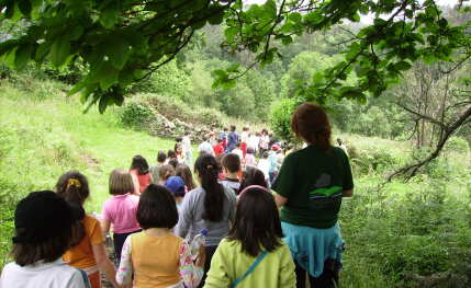 Campamentos de verano