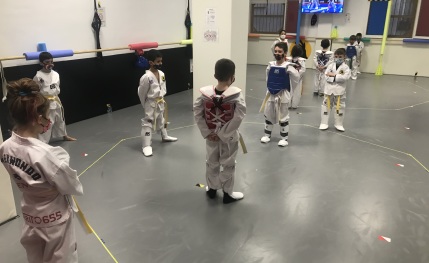 Academia de artes marciales
