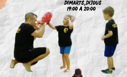 Academia de artes marciales