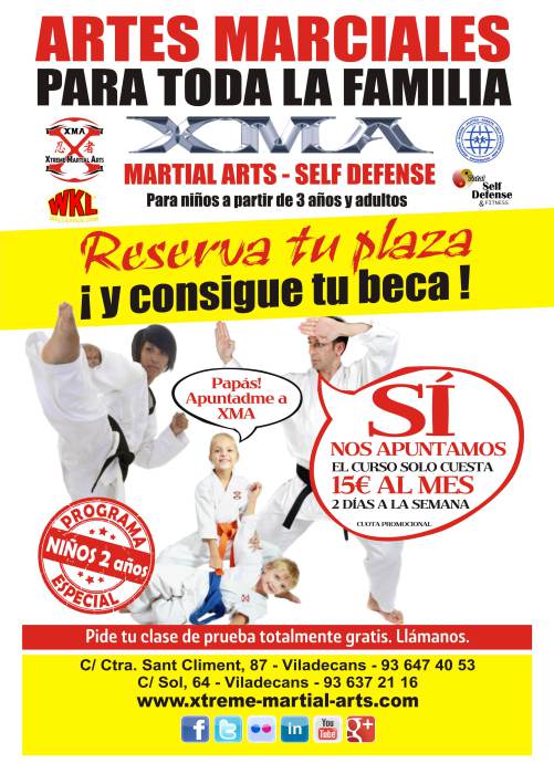 Academias de artes marciales