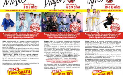 Academias de artes marciales
