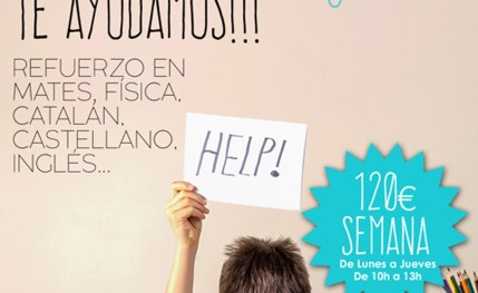  Idiomas y Refuerzo Escolar (mates, física, lengua, etc) 