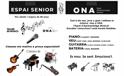 Acadèmia de música