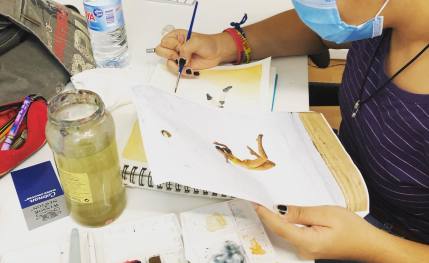 Academia de dibujo, pintura y arte digital