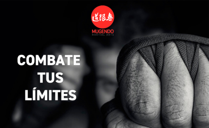 Artes marciales y defensa personal