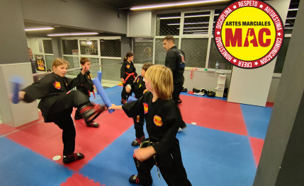Escuela de artes marciales