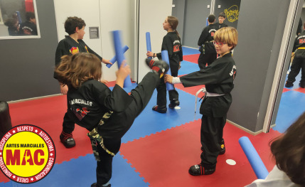 Escuela de artes marciales