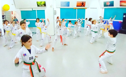 Academia de artes marciales