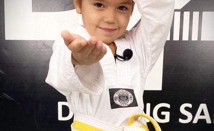 Academia de artes marciales
