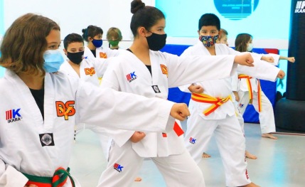 Academia de artes marciales