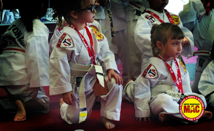 Academia de artes marciales para todos