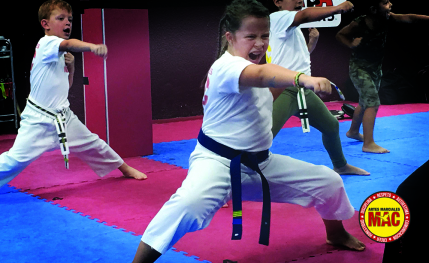 Academia de artes marciales para todos
