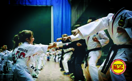 Academia de artes marciales para todos