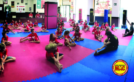 Escuela de artes marciales para todos