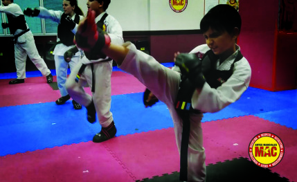 Escuela de artes marciales para todos