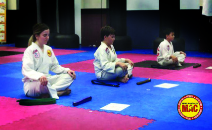 Escuela de artes marciales para todos