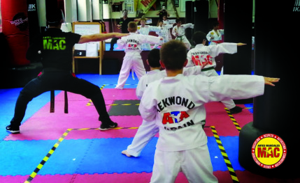 Escuela de artes marciales para todos