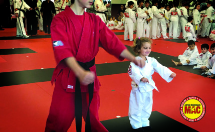 Escuela de artes marciales para todos