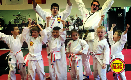 Escuela de artes marciales para todos