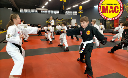 Escuela de artes marciales para todos