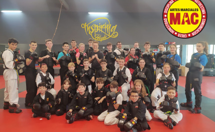 Escuela de artes marciales para todos