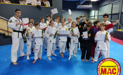 Academia de artes marciales para todos