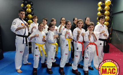 Academia de artes marciales para todos
