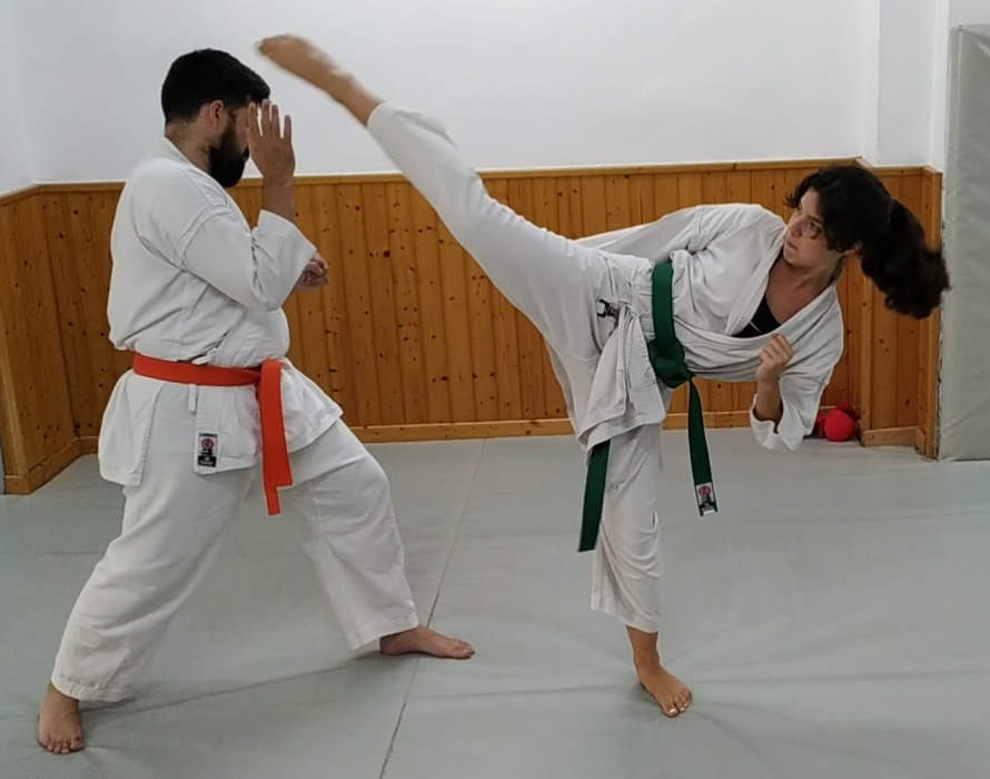 Academia de karate y aikido