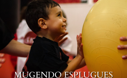 Mugendo y artes marciales