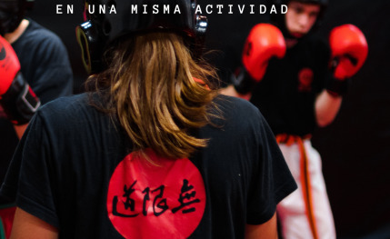 Mugendo y artes marciales