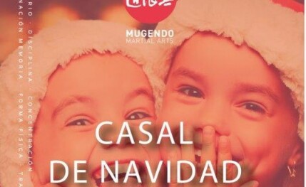 Clases de Mugendo y artes marciales