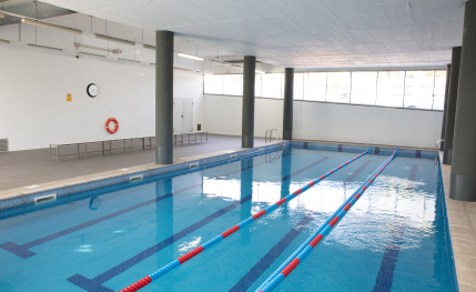 Clases de natación, pádel, yoga, psicomotricidad