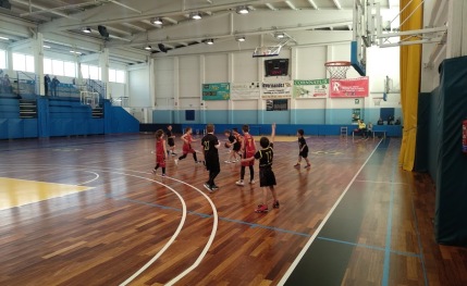 Club de basket