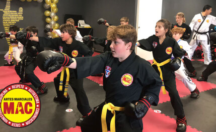Escuela de artes marciales