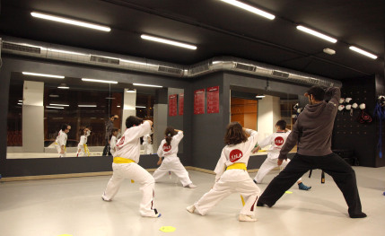 Escuela de artes marciales