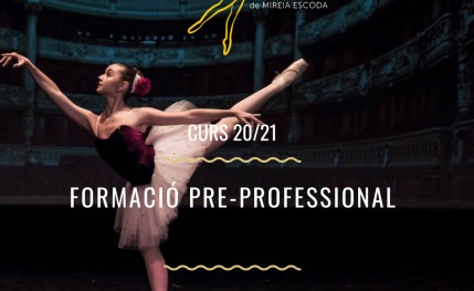 Academia de ballet